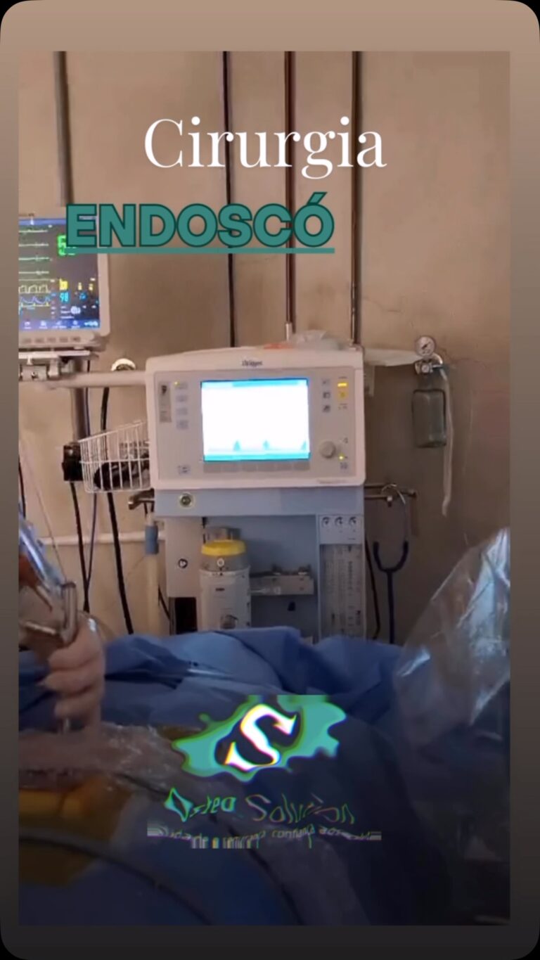 Instagram post from osteo_solution. This post is in position 6.